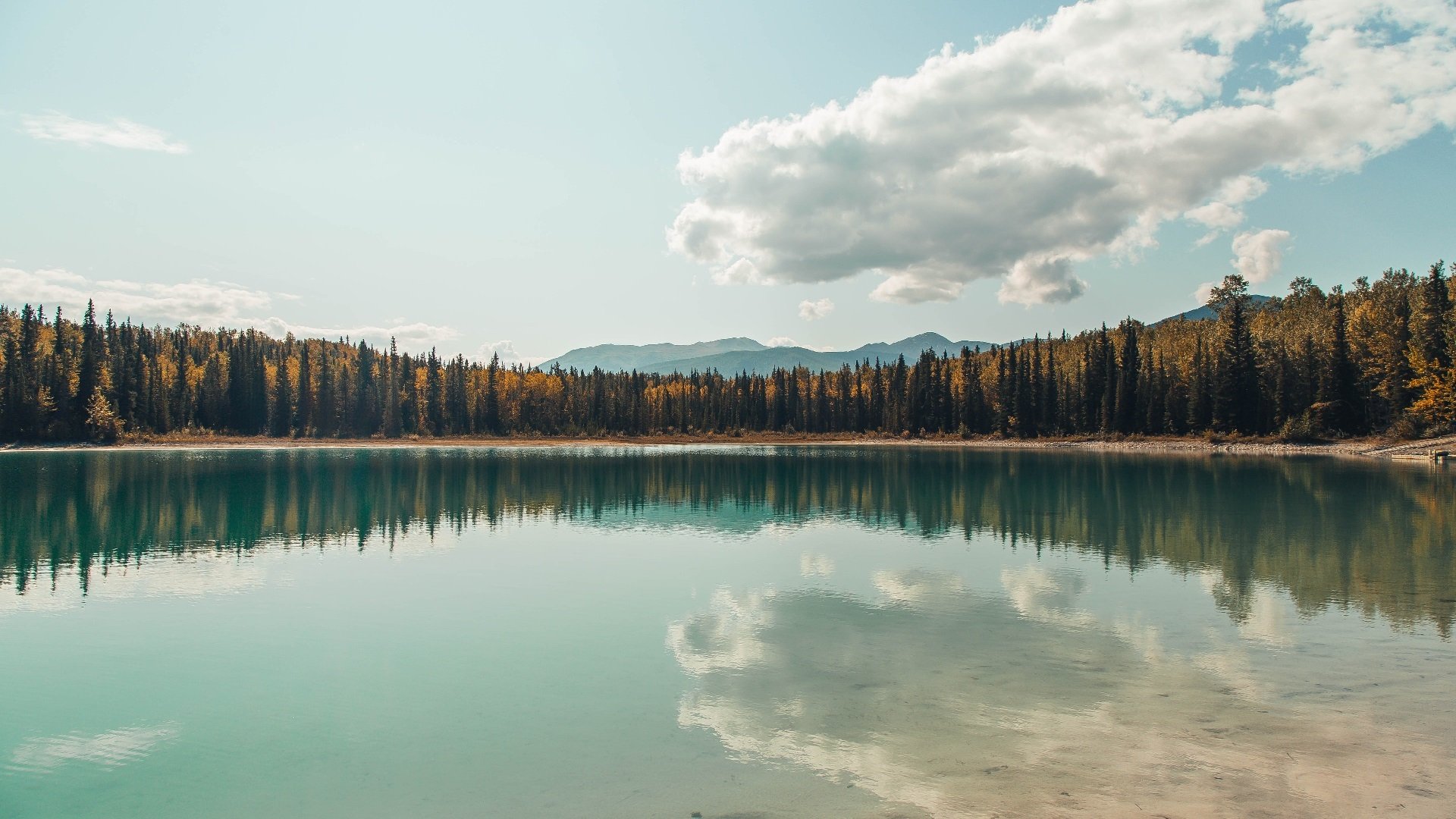 当7000万欧元的天价锋霸，被贫民窟孩子们的魔法撕碎，另一种足球正在苏醒