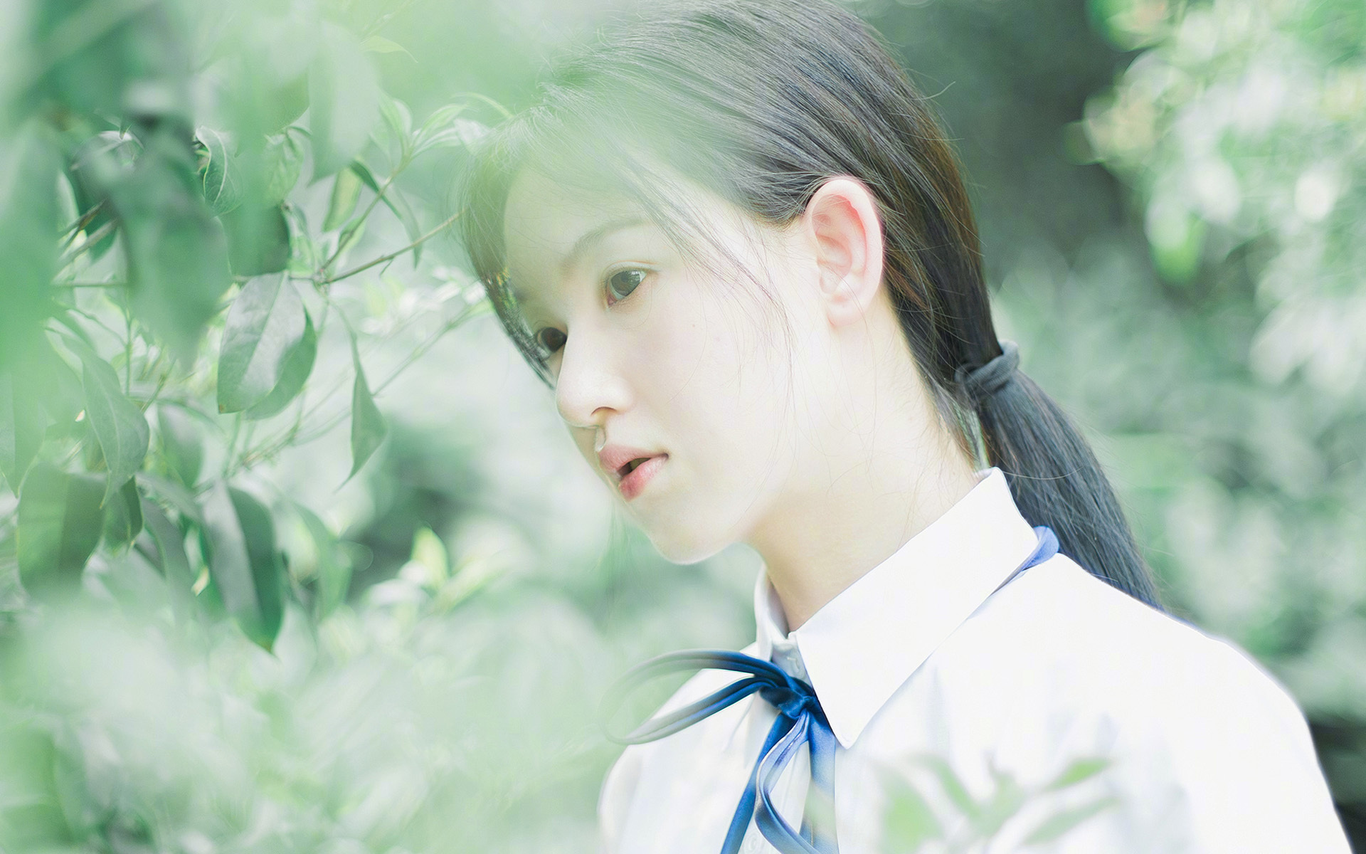 太阳火力全开压制鹈鹕，克莱化身关键先生一剑封喉