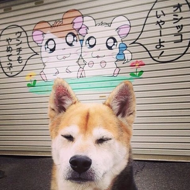 雷火电竞充值-从中场巨兽到沙漠闪电，足球世界里沉默者的爆发哲学