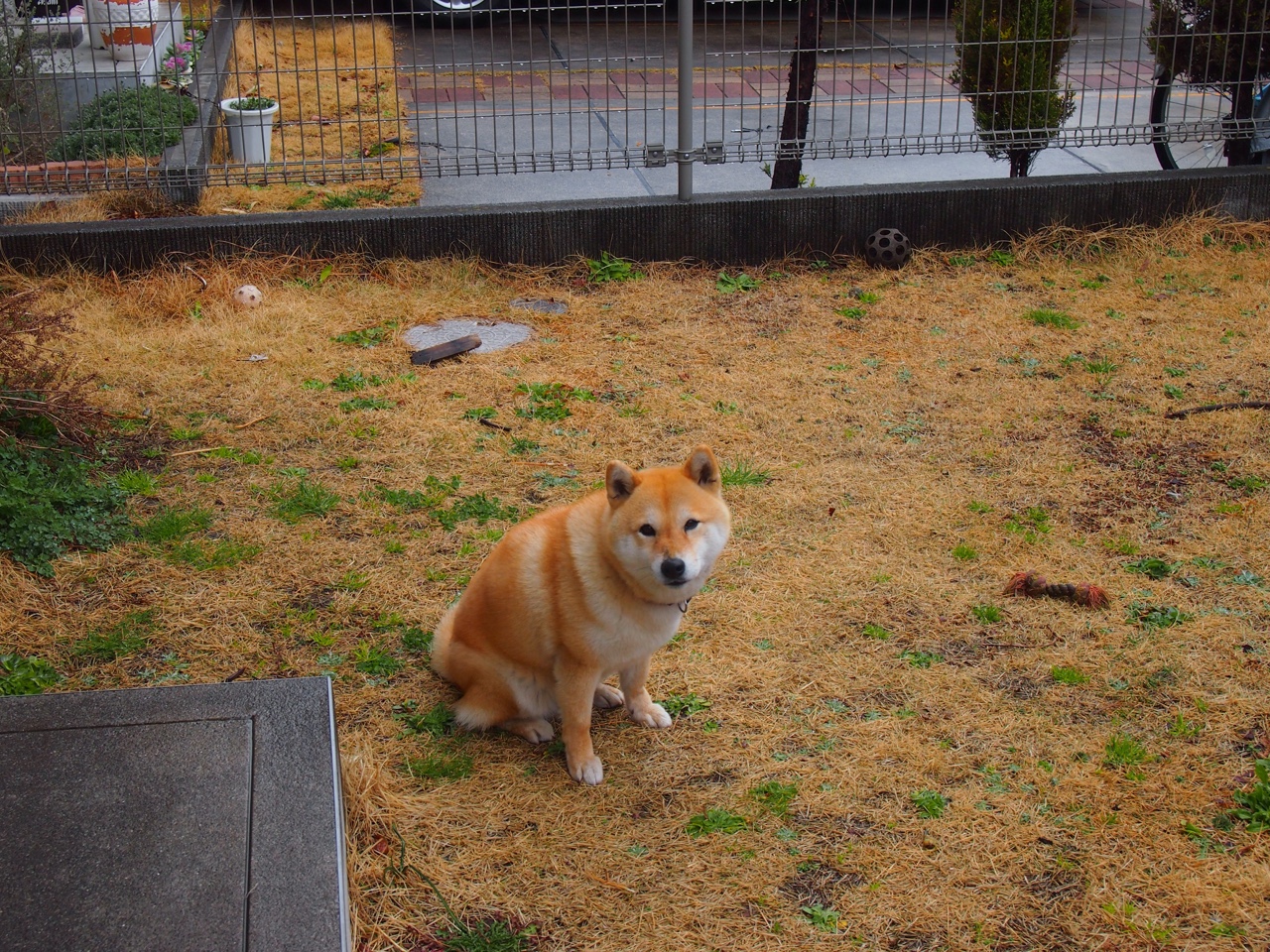 降维打击，卡马文加的个体爆破与尼斯的战术压制—足球竞争的两个维度
