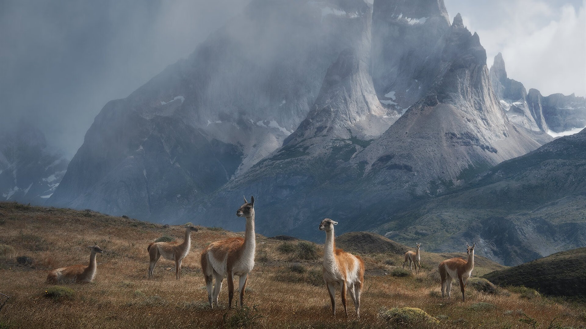东西方雷霆夜，杰伦格林生涯闪耀，广厦队制霸雷霆
