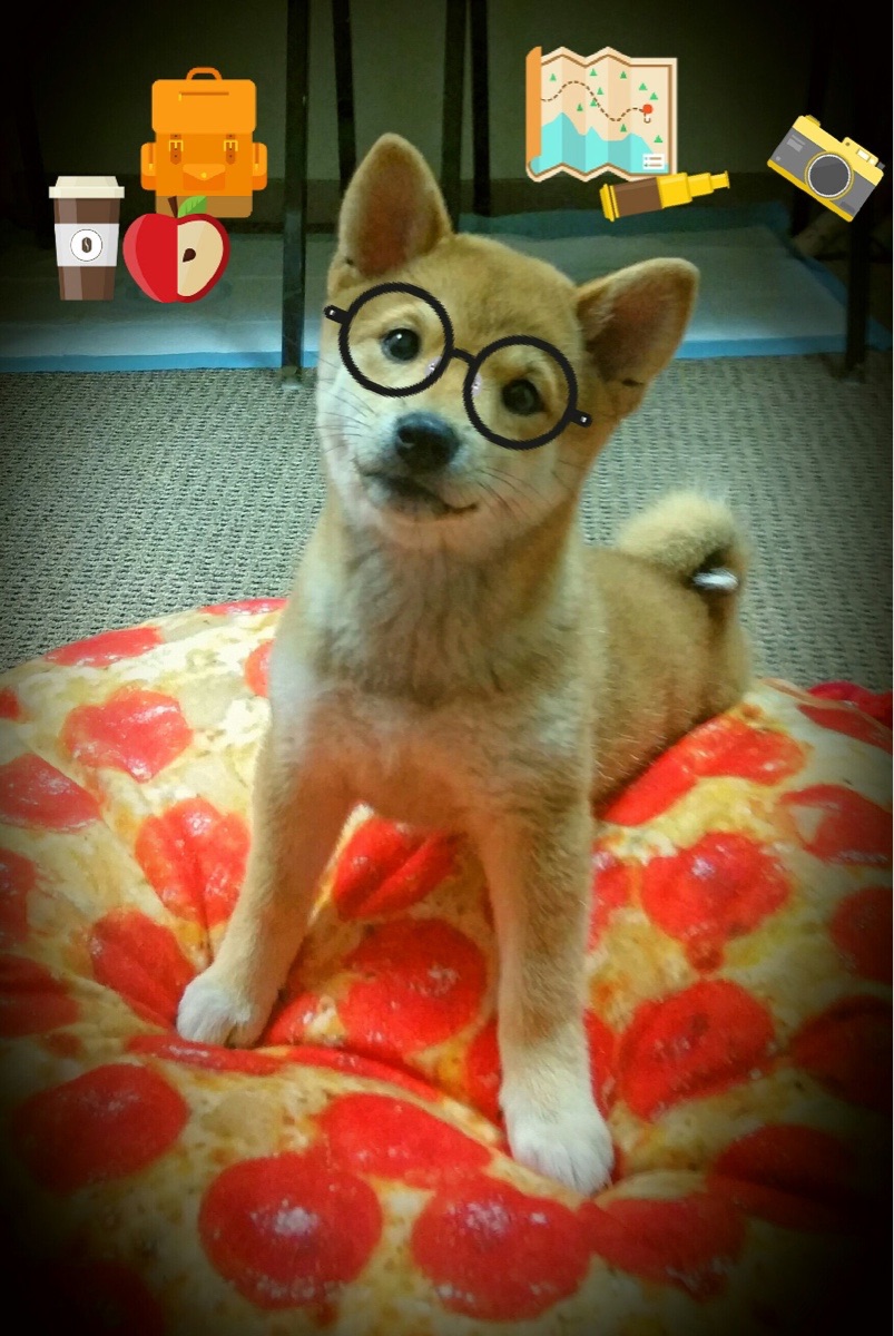 雷火电竞官网-平行时空的篮球史诗，当山西猛龙遇上底特律铁军，詹姆斯上演终极救赎