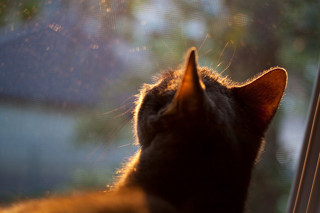 红白剑客的逆袭，西蒙尼的战术圣杯与莫德里奇的魔笛赞歌—解析一场定义时代的非典型胜利