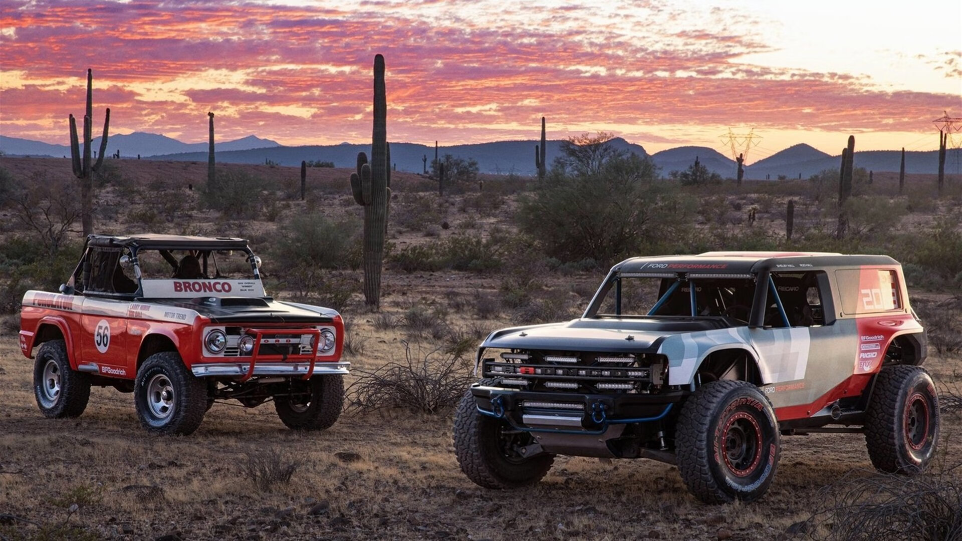 逆版本的胜利，当霍勒迪的非典型篮球，在深圳的钢铁森林里撕开一道口子